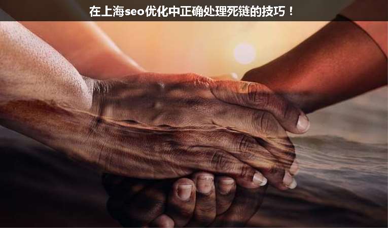 在上海seo優化中正確處理死鏈的技巧！