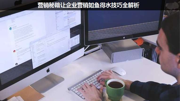 營銷秘籍讓企業營銷如魚得水技巧全解析